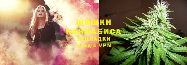 крисы Балахна