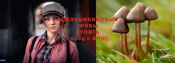 СК Нефтекумск